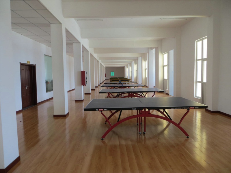 ����PT��ѶЬҵԱ�������2